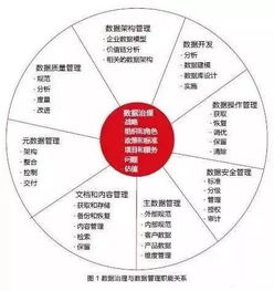 精细数据治理，铸就优质数据处理服务